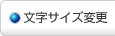 �����T�C�Y�ύX